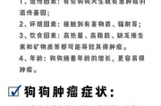 狗狗生小狗需要多久？（探讨狗狗的怀孕期和分娩过程）