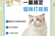 宠物猫打针的部位选择与注意事项（为你的爱猫打针提供正确的指引与关注）