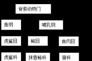 长耳跳鼠的全面饲养指南（掌握长耳跳鼠的喂养、健康和习性，让它们成为您家的可爱伴侣）