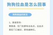 狗狗拉血，如何进行有效的治疗？（选择合适的药物是关键，多种药物可选）