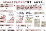 捷克梗饲养全指南（了解捷克梗，打造健康快乐的宠物生活）