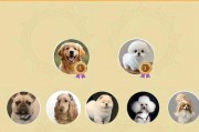 小型犬中最适合室内生活的品种（活动量少却富有爱心的小型狗狗）