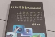 乌龟常见疾病及治疗方法（宠物乌龟的健康指南）
