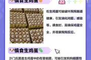 小狗吃鸡蛋要煮多久？（探究小狗食用鸡蛋的最佳煮熟时间）