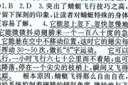 鹞鹰的饲养方法（如何培养健康的鹞鹰）