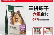 如何选择适合狗狗胖的狗粮（探索狗粮成分及喂养技巧，助你的宠物保持健康体重）