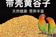 鹦鹉掉毛，如何科学饮食？（了解鹦鹉掉毛原因，选择适宜饮食）