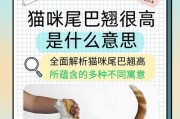 猫咪尾巴弯曲的原因是什么？（揭开猫咪尾巴不直的谜团）