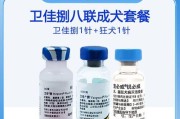 小狗六个月打什么疫苗？（了解小狗六个月龄时应接种的重要疫苗）