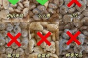 小狗狗粮泡50天后最佳食用时间剖析（探讨小狗狗粮泡制时间对宠物健康的影响及建议）