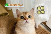 猫咪呕吐的原因及应对方法（探究猫咪呕吐的种种原因，并提供相应的解决方法）