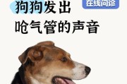 狗狗舌头喘气的原因与应对方法（探究狗狗喘气的原理与如何保持宠物的健康）