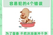 狗狗生完孩子后多久能洗澡？（探究合适洗澡时间的关键因素及注意事项）