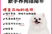 博美犬的睡眠时间及习性分析（揭秘博美犬睡眠时间的内外因素和影响）