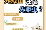 猫咪健康护理（保护宠物健康，正确掌握疫苗与驱虫药的使用时机）