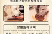 如何正确为狗狗补充微量元素？（科学合理的饮食调配，确保狗狗健康！）