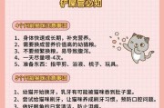 巢鼠的饲养方法（详解饲养巢鼠的技巧和注意事项）