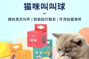 猫薄荷和狗（了解猫薄荷和狗的健康益处及使用方法）