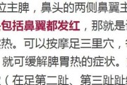 解决松狮犬体臭问题的五个部位护理秘籍（有效消除松狮犬体臭，让爱宠更舒适）