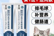 猫咪吐毛球（揭秘猫咪吐毛球的成因及如何有效预防和处理）