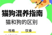 猫狗混养的品种选择与关键要素（以哪些品种猫狗能混养？）