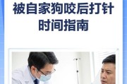 狗打了疫苗多久能出门？（疫苗接种与出门时间的关系解析）
