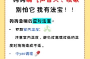 狗狗咳嗽不好的原因及解决方法（了解咳嗽原因，为狗狗提供合适的治疗）