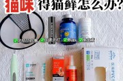 猫癣治疗药物选用攻略（探索适用于猫癣的最佳治疗药物）