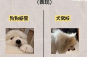 狗狗感冒（狗狗感冒康复时间长度及关键要素分析）