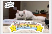 铲屎官的钱都去了哪里？（揭秘铲屎官的月度花销清单）
