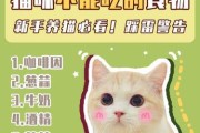 小心！这些食物千万不能给猫咪吃（保护宠物健康，避免错误喂养，）
