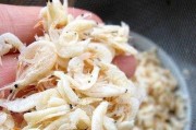 法斗一岁该如何合理饮食？（科学营养让法斗健康成长）