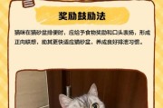 探究猫咪饭后如厕时间的奥秘（解析猫咪饭后去厕所的时间规律及影响因素）