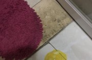 泰迪狗狗羊水破裂前后的关键时刻（了解泰迪狗狗羊水破裂的时间节点，守护爱宠安全无忧）