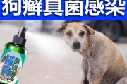 金毛身上长癣怎么办？药物治疗方法分享（金毛身上长癣用什么药？如何选择适合的治疗方式？）