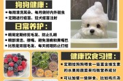 比熊犬的性格特点及饲养须知（了解比熊犬的性格特征，让它成为你的终身伴侣）