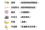 泰迪狗喂水果的频率与注意事项（掌握泰迪狗适宜喂食水果的时间间隔和品种选择）