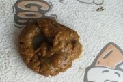 拉布拉多为什么拉稀？（探索拉布拉多拉稀的原因及解决方法）