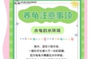 养龟需要定期清洗龟缸的重要性（龟缸清洗频率及关键步骤）