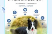 狗疫苗接种时间（了解狗疫苗接种时间及恢复过程）