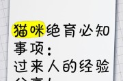 猫咪绝育时间和注意事项（了解猫咪最佳绝育时间以及绝育后的护理方法）