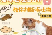 猫咪呕吐的常见原因（了解为什么你的猫咪老是呕吐，它可能遭遇了这5种常见问题）