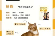 猫的品种多样性与特点（探索世界各地猫的品种和特点）