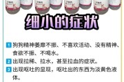 细小病康复后，狗狗何时可以洗澡？（洗澡的最佳时间和注意事项）