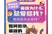 小猫咪为什么会与你翻脸？七大雷区不要踩（探究猫咪与人关系的七大问题，避免与小猫咪发生冲突）