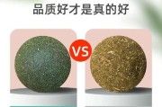 探秘猫薄荷的神奇用途（猫薄荷的奇妙效用与猫咪安全问题）