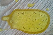 狗着凉了吐该吃什么药？（为你的狗狗提供正确的医疗护理）