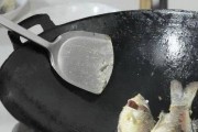 溅水鱼的全面饲养指南（从选鱼到饲养技巧，让你轻松打造健康的水族箱）