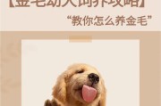 如何科学控制金毛食量，避免肥胖问题？（金毛各个阶段的合理饮食标准和控制方法）