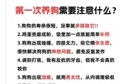 如何科学喂养5天奶狗（合理的喂食频率与规律将让你的宝宝茁壮成长）